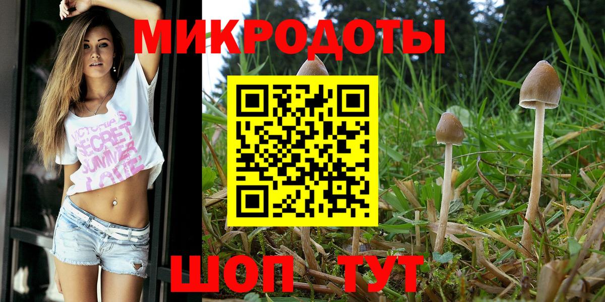 Нефтеюганск  Псилоцибиновые грибы Cubensis  Вход с VPN  где купить наркоту  Галлюциногенные грибы мухоморы 